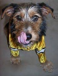 Palm Springs commercial photography