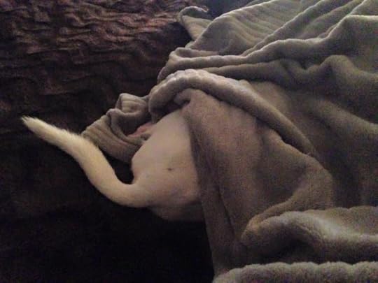 Palm Springs commercial photography