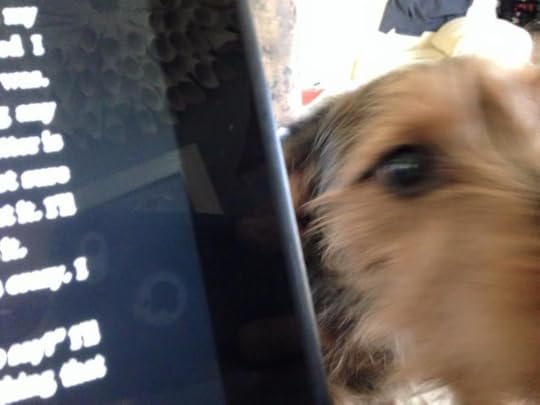 Palm Springs commercial photography