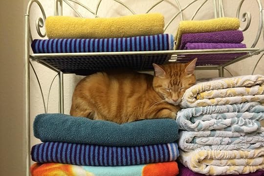 A Sleep Better Renewing of the Mind Project