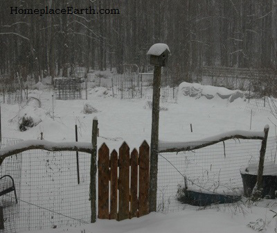 snowstorm January 23 2016-BLOG