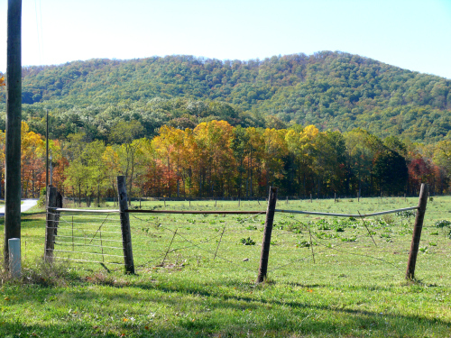 fallpix