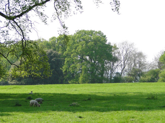 Hidcote Bartrim
