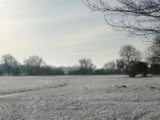 Cambridge