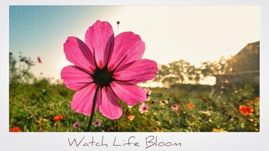 Watch_Life_Bloom