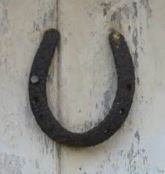 horsehoe