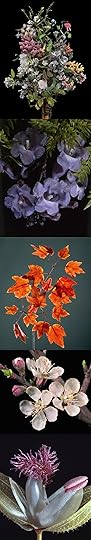 glass botanicals five