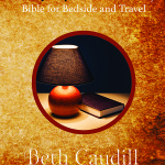 Mystery Writer's Mini Story Bible Cover