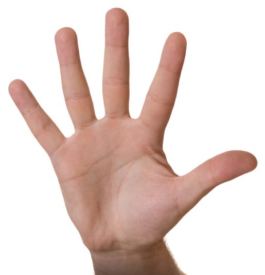 Gimme five. A 5X bonus category, that is