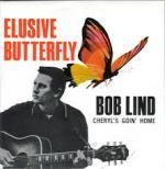 Elusive Butterfly