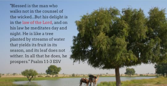 Screen Shot 2016-01-25 at 11.49.38 AM