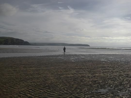 On the south Devon coast