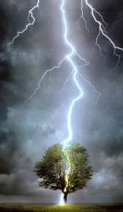 lightningtree