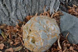stone