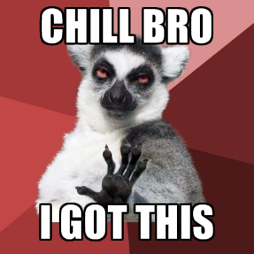 chill-bro-i-got-this