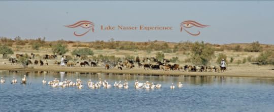 Screen Shot 2016-01-28 at 11.03.49 AM