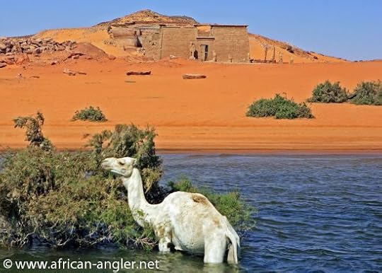 979842_567076339998514_533843888_o