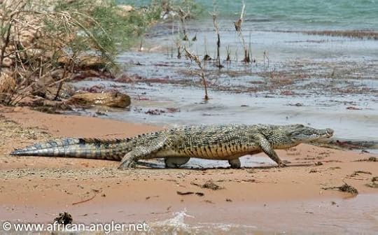 1014909_567092346663580_1435377357_o