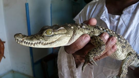 8952232882_f48e7f5fbe_o