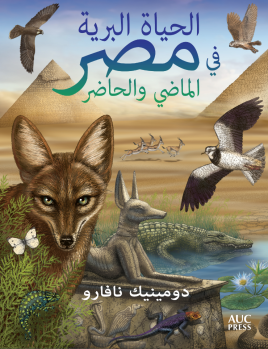 Screen Shot 2016-01-28 at 11.46.29 AM