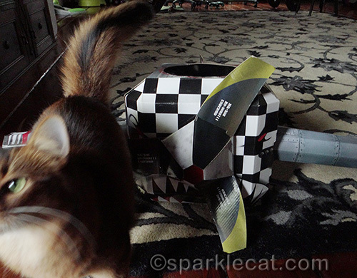 somali cat and cat toy aeroplane
