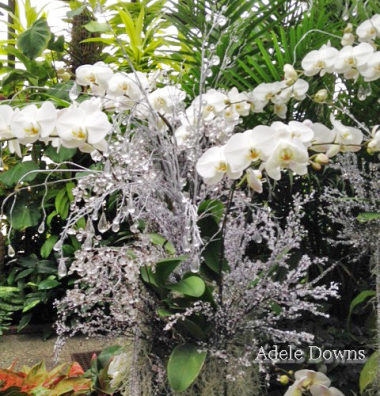 LGWinterWhiteOrchidssigned