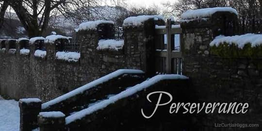 Perseverance