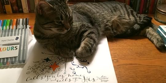 Whatever Is Lovely...and cat