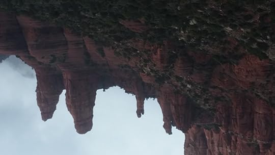 Photo taken by D.G. Kaye, Sedona, Arizona Jan, 2016