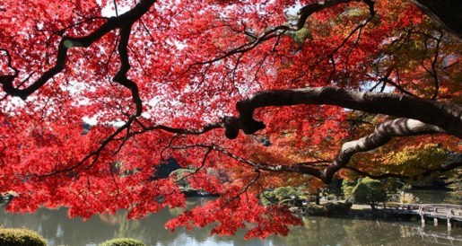 Literally so excited