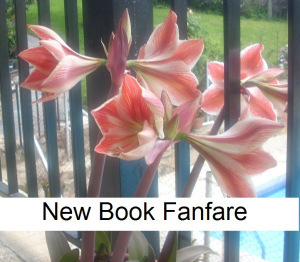 New book fanfare