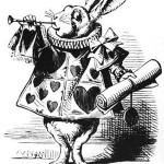 Chase the White Rabbit-book club discussions