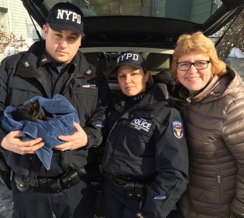 nypd-saves-kitten