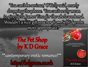 The-Pet-Shop_teaser2