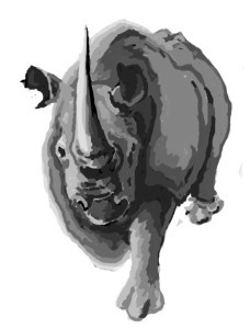 GrayRhino