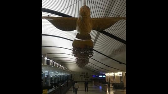 DMairportbird