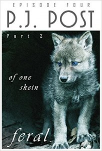 Of One Skein by P.J. Post