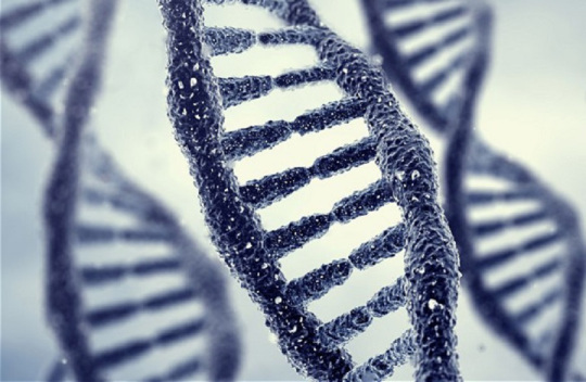 DNA