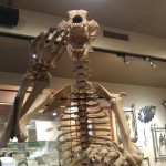 getting-away-banff-trip-02