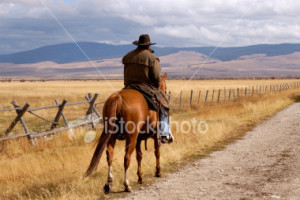 stock-photo-3926220-going-home