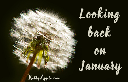 LookingBackJan