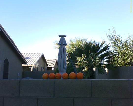 Oranges on my wall