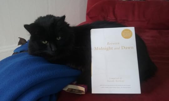 Between Midnight and Dawn