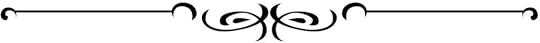Purchased caligraphic element 2 for blogs