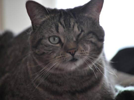  photo e434255b160ae8a9ed239e0171b2fc49.jpg_zps77vot8ov.png