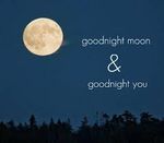 GoodnightMoon