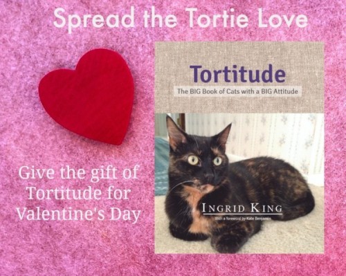 tortitude-the-big-book-about-cats-with-a-big-attitude