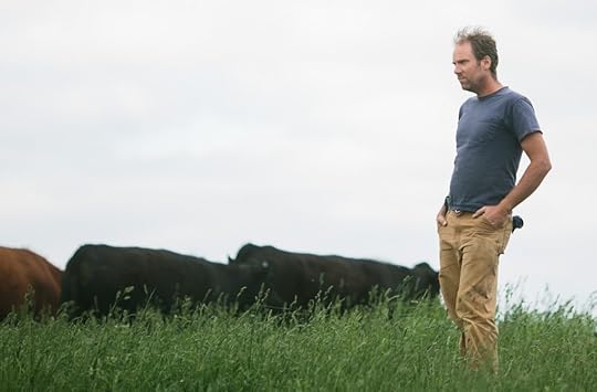 Forrest Cows