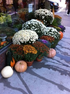 Pretty pumpkins