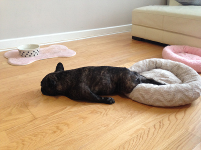 Lulu: Tuesday morning blues.